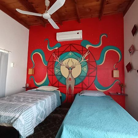 Adventure Inn La Paz Extérieur photo