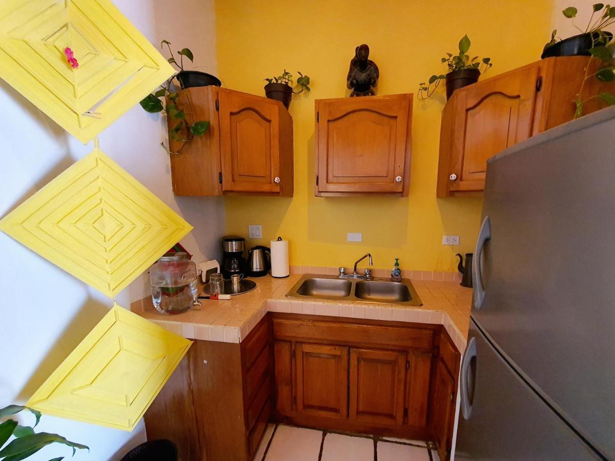 Adventure Inn La Paz Extérieur photo