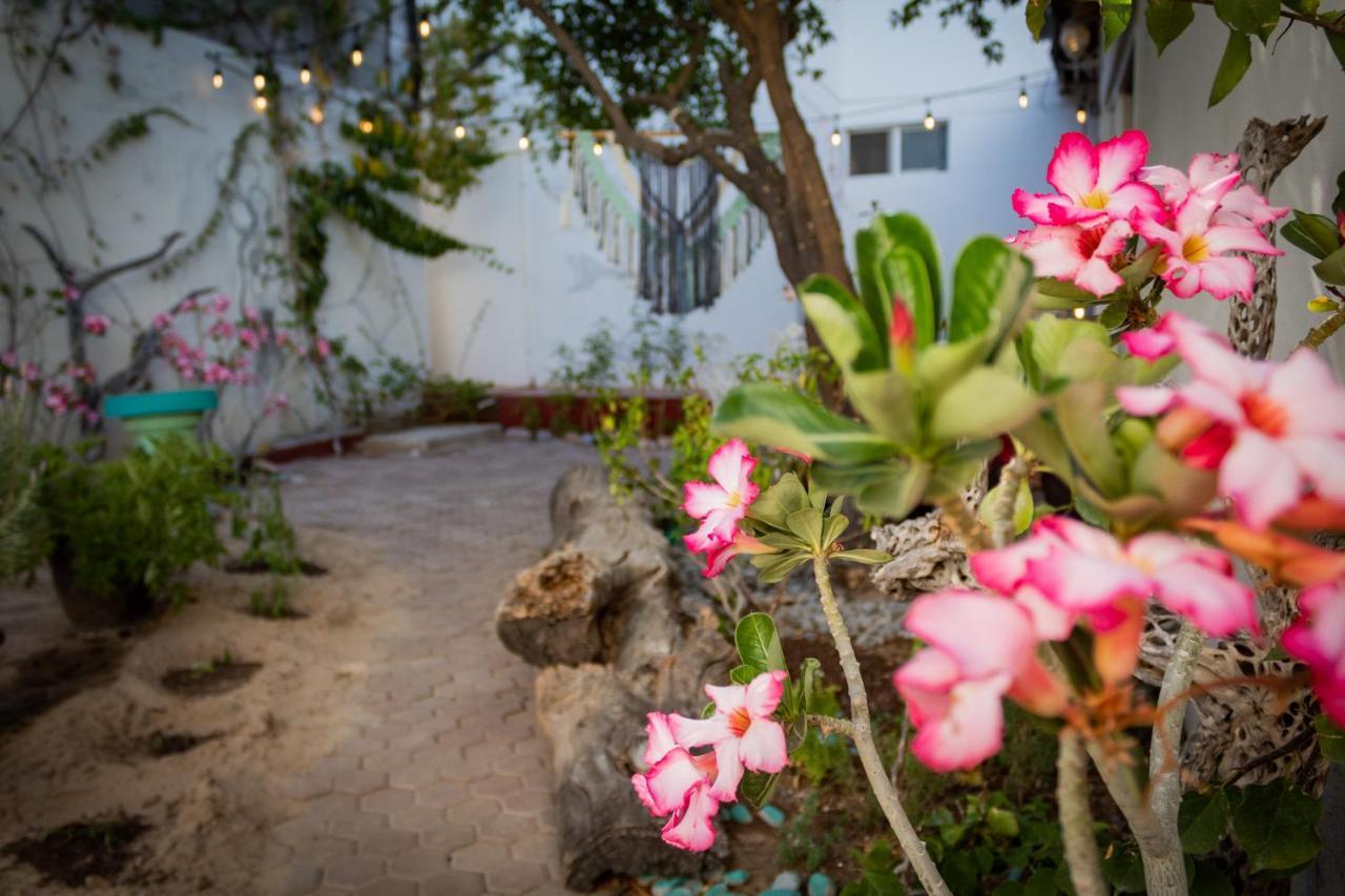 Adventure Inn La Paz Extérieur photo
