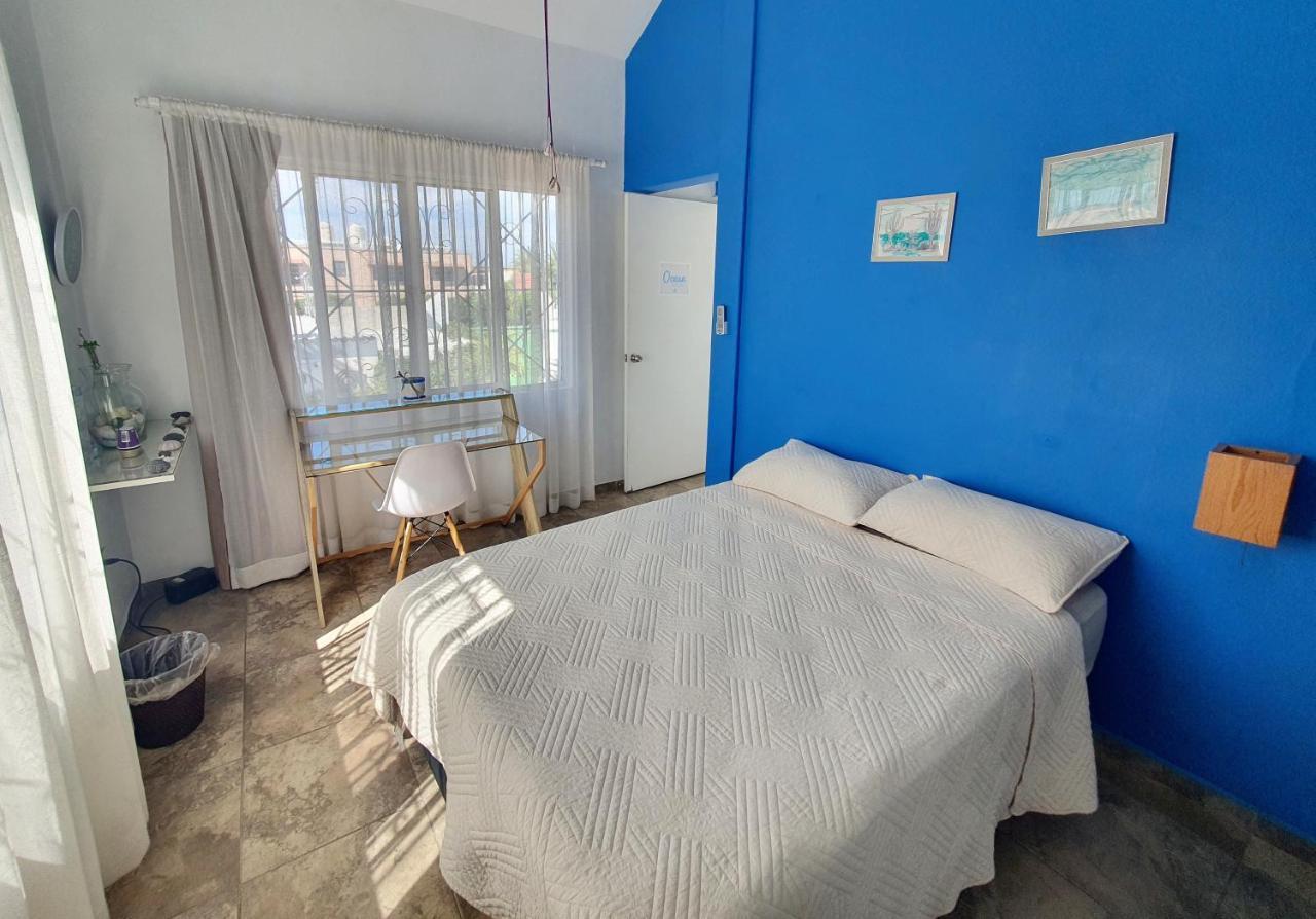Adventure Inn La Paz Extérieur photo