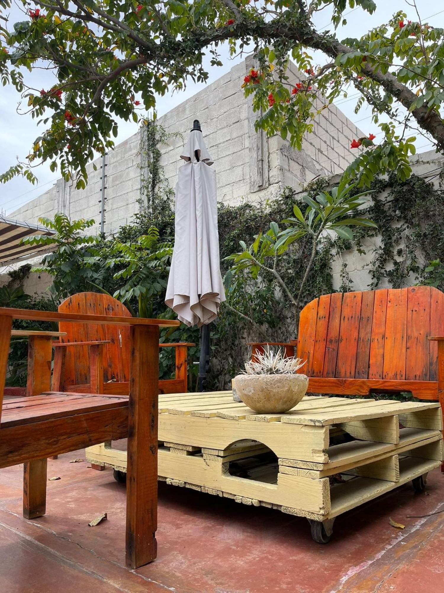 Adventure Inn La Paz Extérieur photo