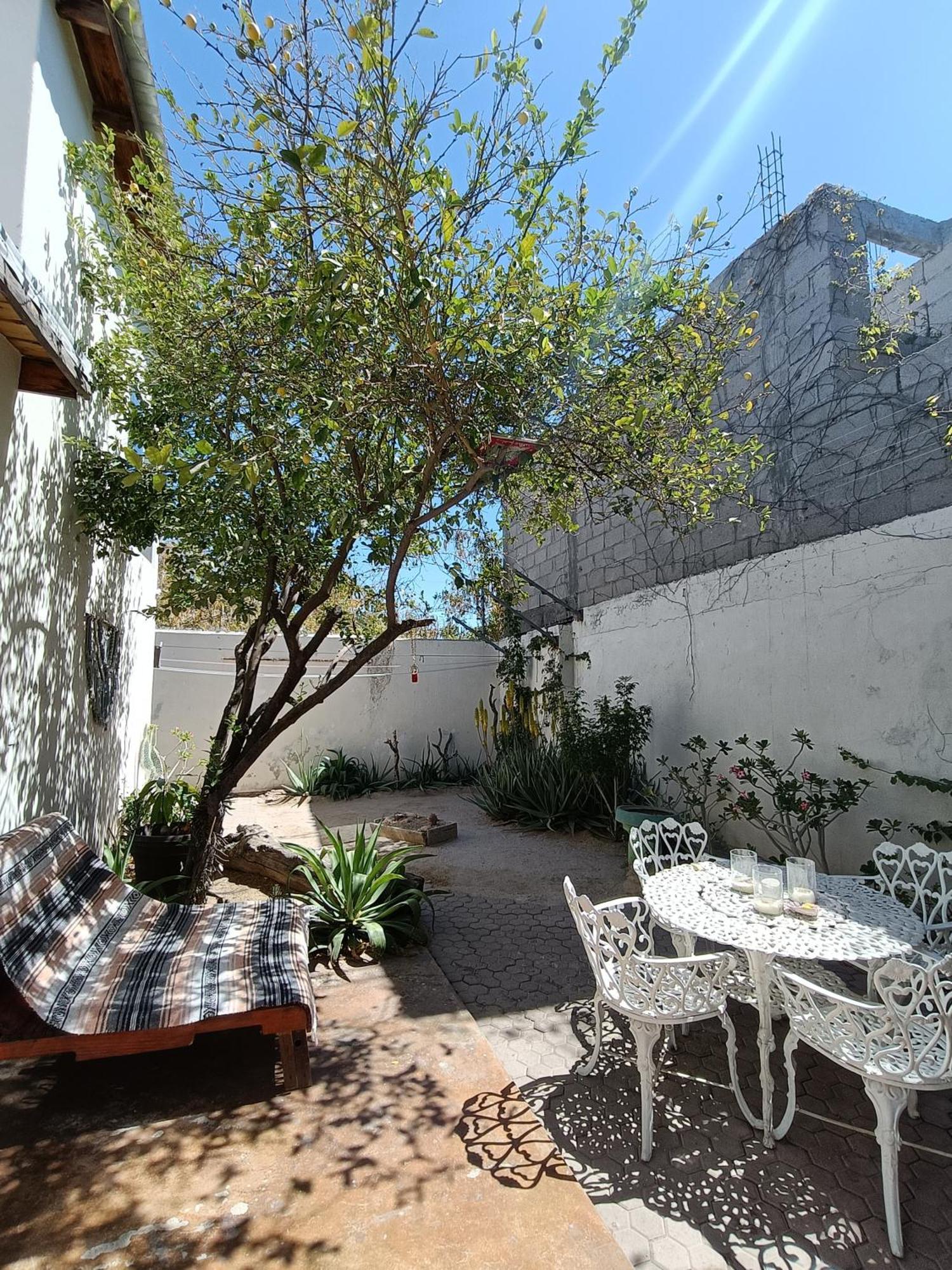Adventure Inn La Paz Extérieur photo